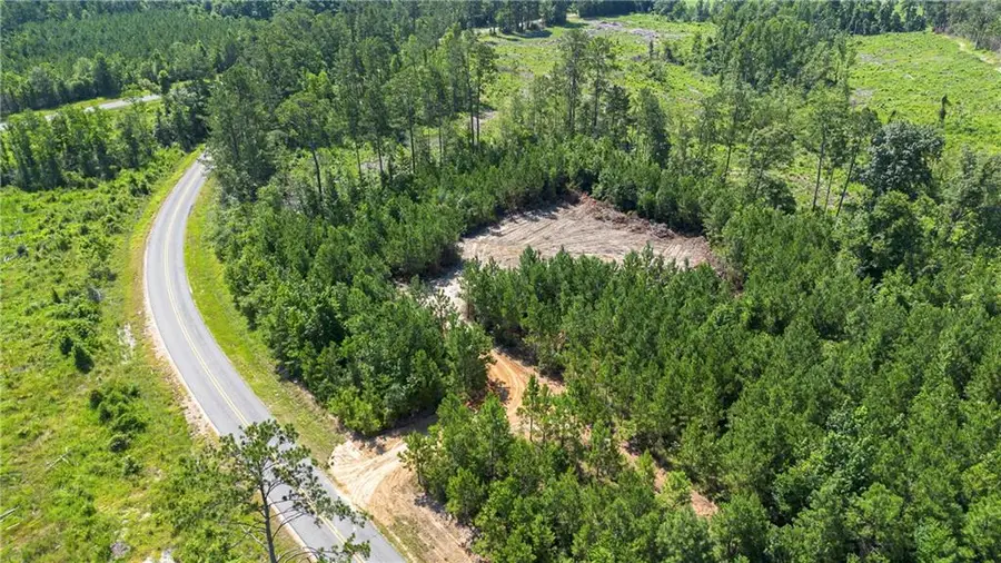LOT A Ten Mile Road, Pitkin, LA 70656 - #2