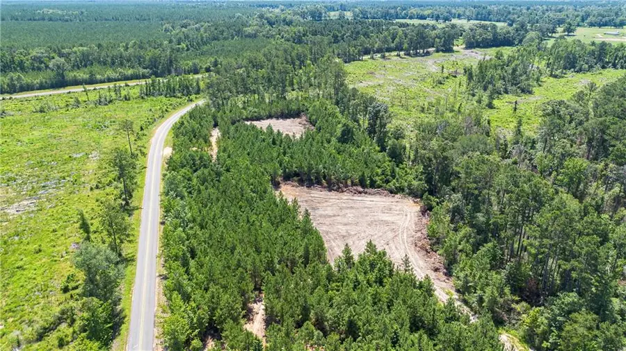 LOT A Ten Mile Road, Pitkin, LA 70656 - #3