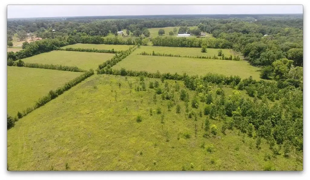 0 Robinson Bridge Road, Woodworth, LA 71485 - #1