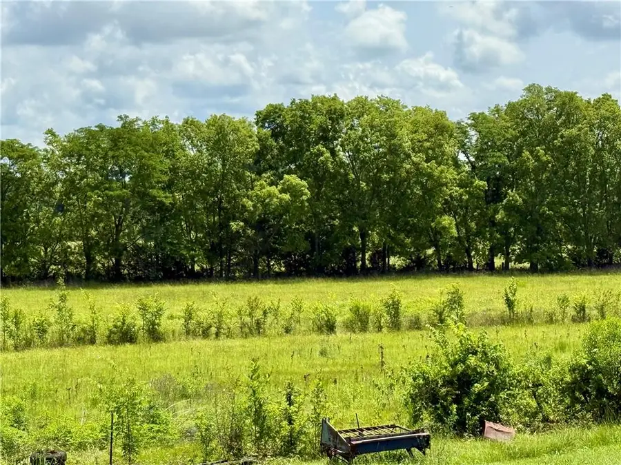 0 Robinson Bridge Road, Woodworth, LA 71485 - #3