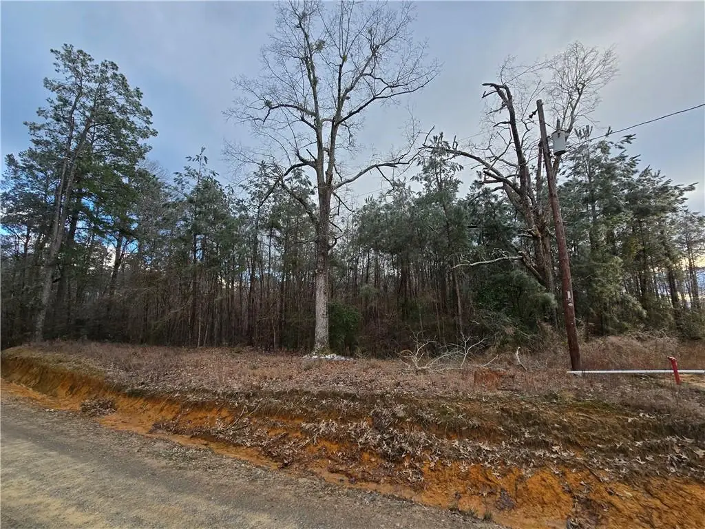 0 C Smith Road, Leesville, LA 71446 - Image #1