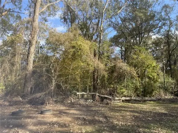 Lot 28 Water Shed Road, Ville Platte, LA 70586