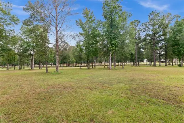 750 Sunrise Drive, Deville, LA 71328 - #2