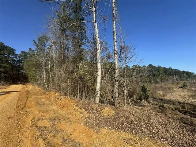 Dug Leckie Cutoff Road, Pollock, LA 71467 - #1