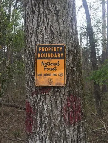 Dug Leckie Cutoff Road, Pollock, LA 71467 - #3