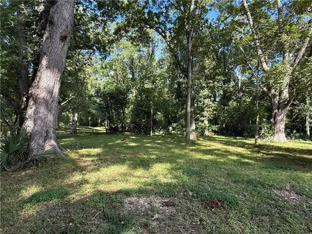 TBD La-3102 Highway, Jonesville, LA 71343 - #3