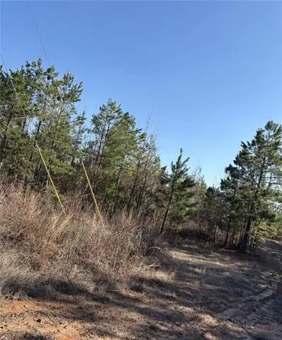 62.71 Acres Hwy 120 Road, Flora, LA 71428 - #1