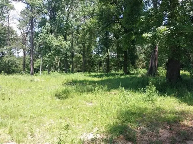 4354 Rigolette Road, Pineville, LA 71360 - #2