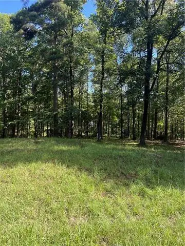 1009 East Nantachie Drive, Montgomery, LA 71454 - #1