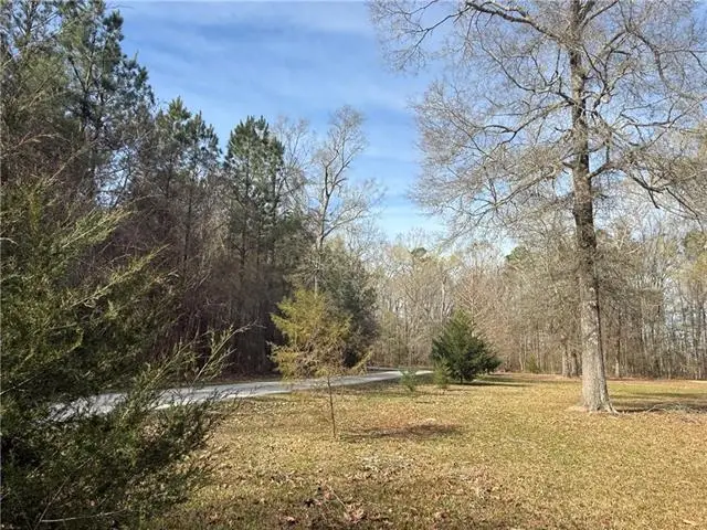 195 Varvarosky Road, Deville, LA 71328 - #2