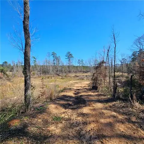 1531 Nelms Loop, Colfax, LA 71417