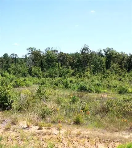 TBD Lot 11 Lebleu Road, Leesville, LA 71446