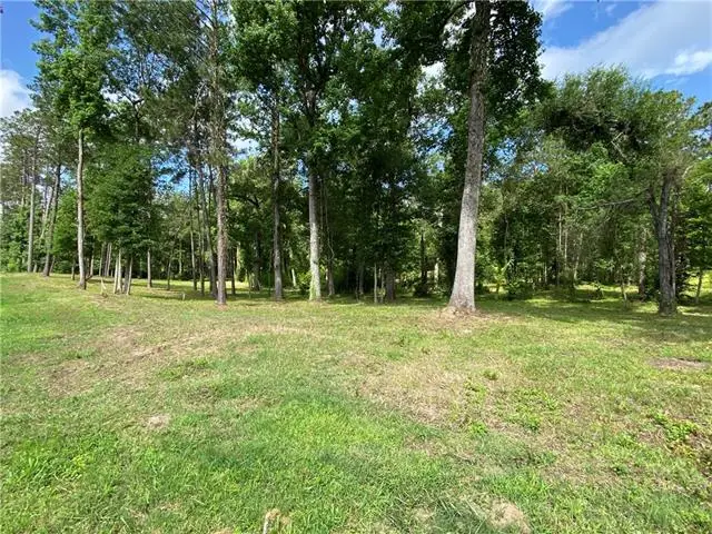 TBD Military Highway, Pineville, LA 71360 - #1