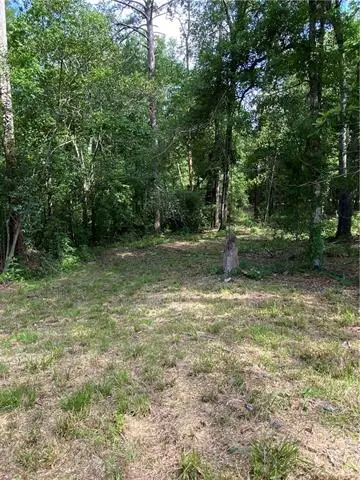 TBD Military Highway, Pineville, LA 71360 - #3