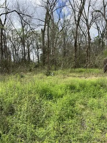 1037 Hwy 457, Lecompte, LA 71346 - #3