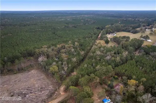 Pollock Cemetery Road, Pollock, LA 71467 - #2