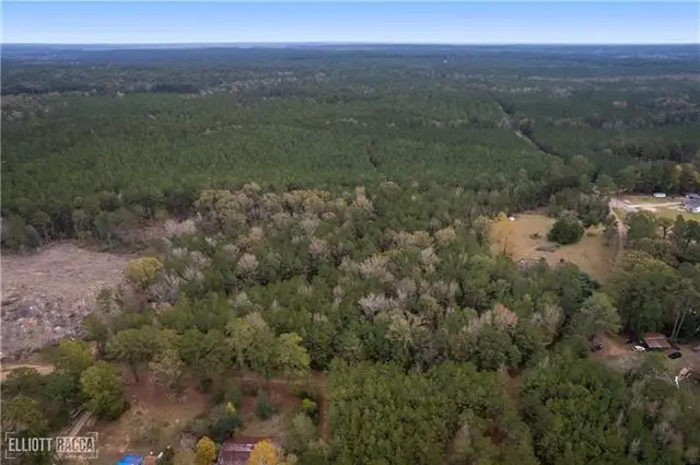 Pollock Cemetery Road, Pollock, LA 71467 - #3