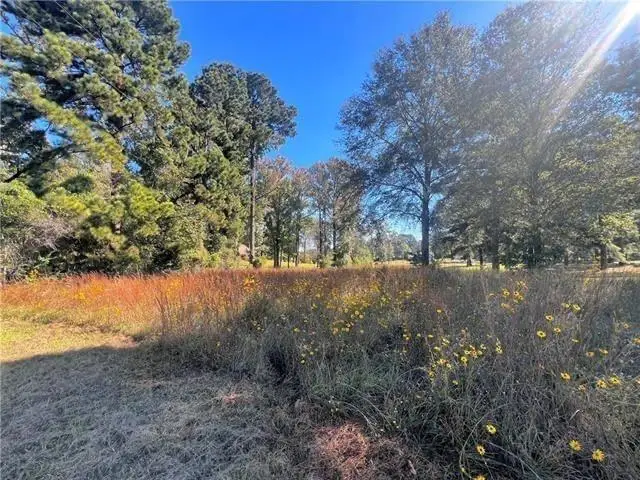 6906 Highway 165, Ball, LA 71405 - #2