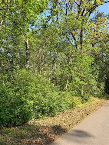 00000 Highway 165, Ball, LA 71405 - #3