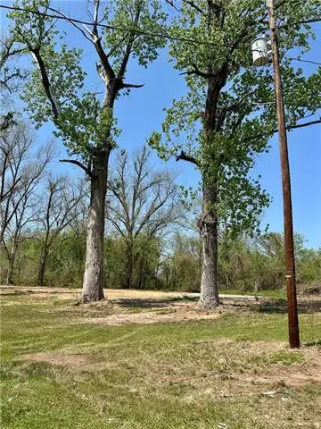 1356 M Cole Road, Effie, LA 71331 - #2