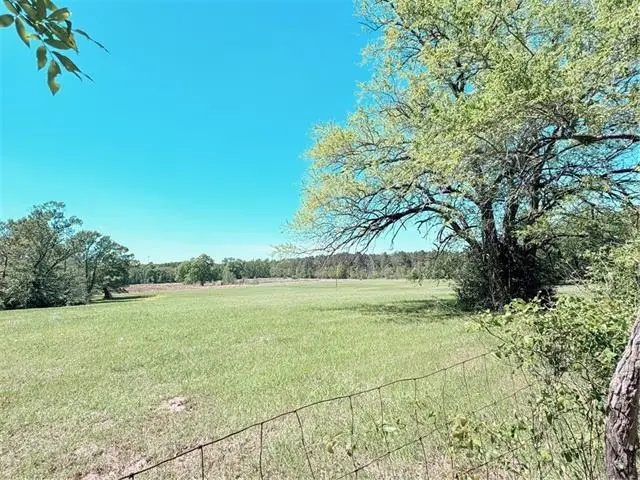 307 Big Island Loop, Deville, LA 71328 - #3