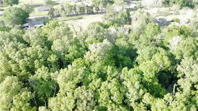 0 Andrus And Barton Street, Marksville, LA 71351 - #1
