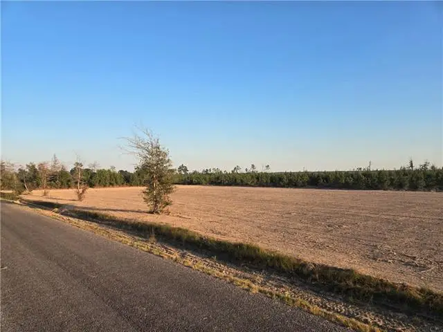 #2 Elengton Road, Deridder, LA 70634 - #3