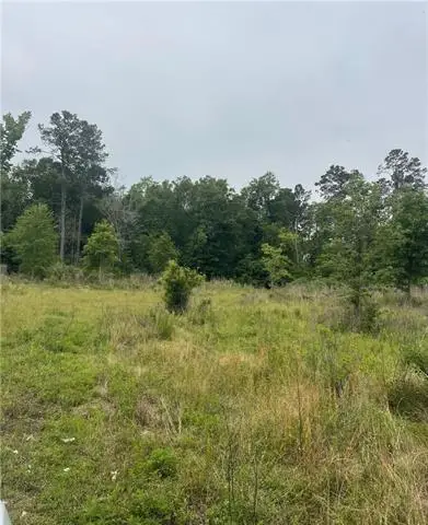 121 Ten Mile Road, Pitkin, LA 70656