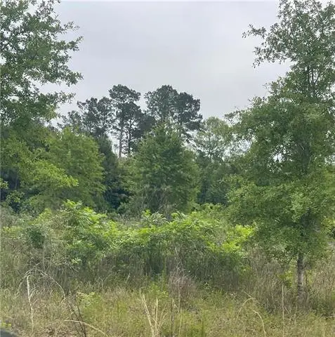 121 Ten Mile Road, Pitkin, LA 70656 - #3
