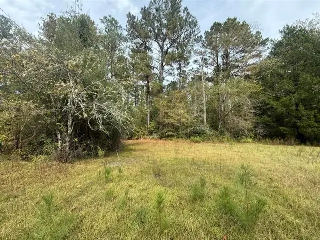 TBD Possum Trot Lane, Pitkin, LA 70656 - #2
