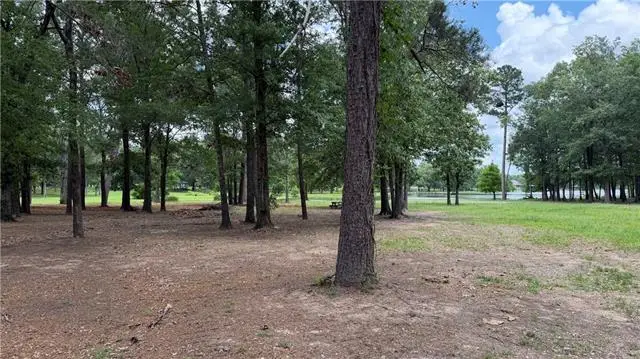 219 Peninsula Drive, Natchitoches, LA 71457 - #2