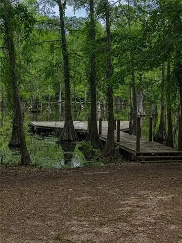 765 Steamset Road, Colfax, LA 71417 - #2