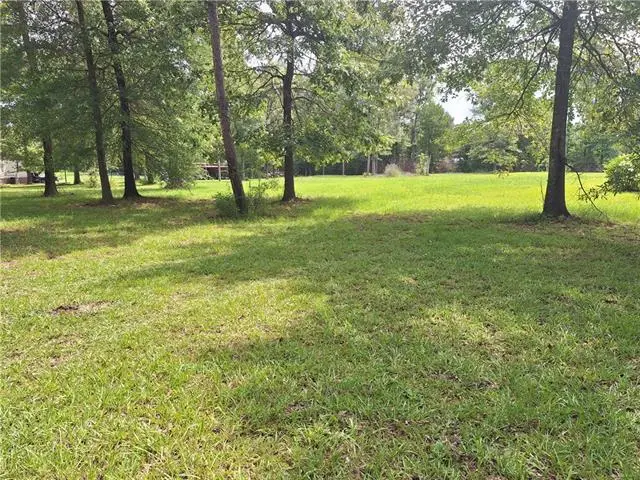 18 Nadrchal Road, Deville, LA 71328 - #2