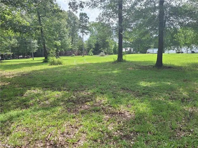 18 Nadrchal Road, Deville, LA 71328 - #3