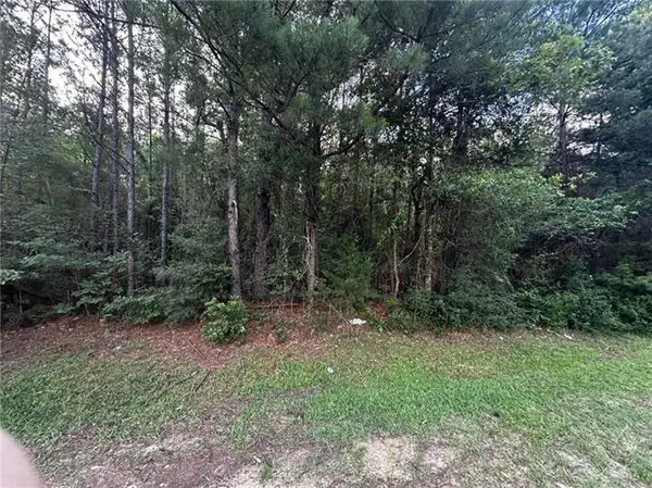 TBD Ebenezer Cemetery Road, Leesville, LA 71446