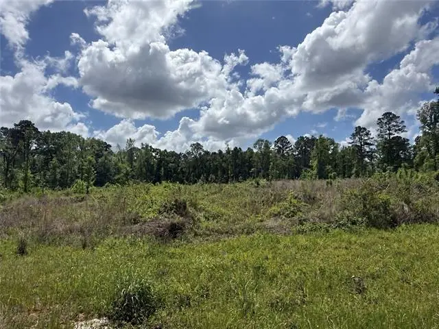 Tbd Newsome Road, Pineville, LA 71360 - #1