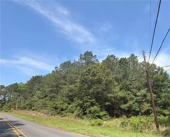 TBD Jeane Chapel Road, Leesville, LA 71446 - #1