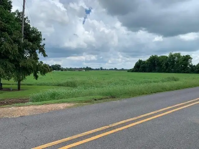 302 Farm Lane, Alexandria, LA 71303 - #1