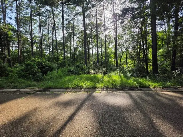 201 Kayla Drive, Natchitoches, LA 71457 - #1