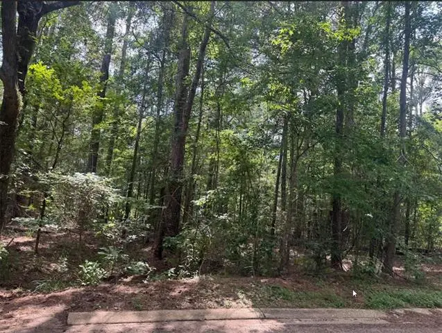 201 Kayla Drive, Natchitoches, LA 71457 - #2