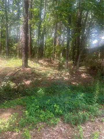 110 Seneca Court, Pineville, LA 71360 - #1