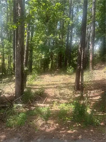110 Seneca Court, Pineville, LA 71360 - #2
