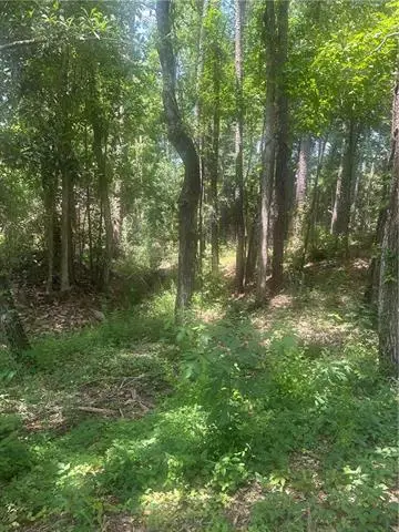 110 Seneca Court, Pineville, LA 71360 - #3