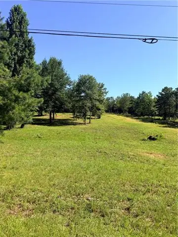 230 Hughart Road, Pollock, LA 71467 - #2