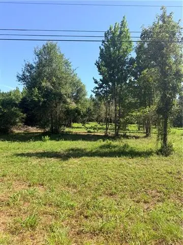 216 Hughart Road, Pollock, LA 71467 - #1