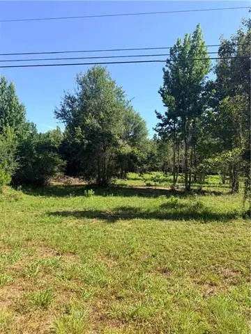 216 Hughart Road, Pollock, LA 71467 - #2