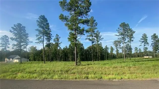 Teekell Lot 5 Road, Boyce, LA 71409 - #2