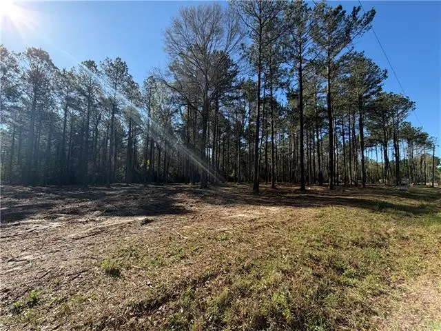 TBD 9.74 acres Tatoo Road, Glenmora, LA 71433 - #1