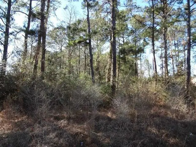 Amber Street, Slidell, LA 70461 - #2