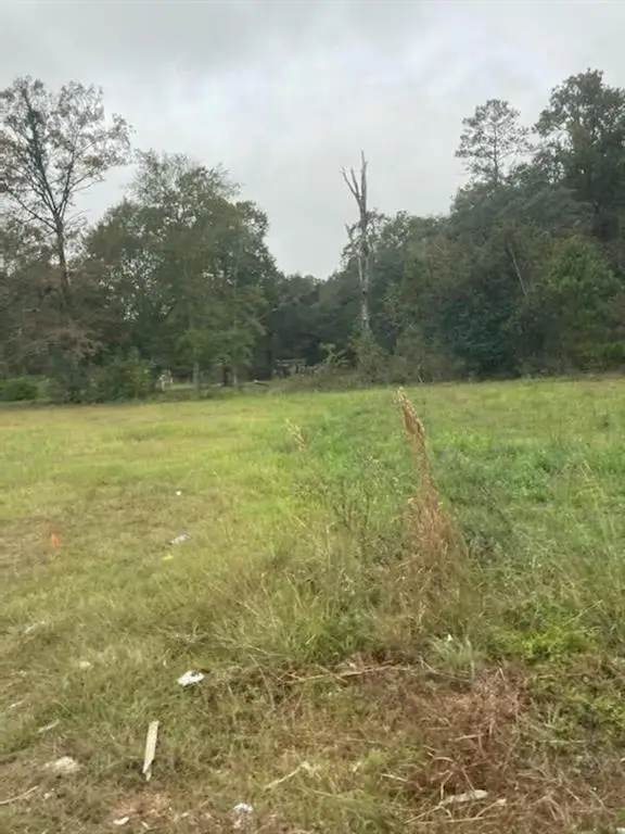 18625 E La 22 Highway, Ponchatoula, LA 70454 - Image #3